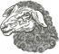 Lamb Sheep Machine Embroidery Design 