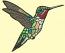 Colibri Hummingbird Machine Embroidery Design 