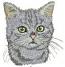 Cat for the Pocket, Machine Embroidery Design