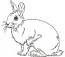 Rabbit embroidery, low stitch count design  