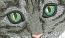 Cat for the pocket machine embroidery design 