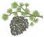 Pine Branch and Cone Machine Embroidery Design 