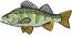 Perch Bass Fish Machine Embroidery Designs 