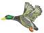 Flying drake Machine Embroidery Design 