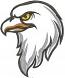 Eagle Head Applique Large Size Machine Embroidery Design 