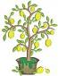 Lemon Tree and Fruits Machine Embroidery Design 