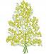Mimosa  branch Machine Embroidery Design 