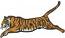 Tiger Machine Embroidery Design 