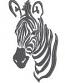 Zebra Face Machine Embroidery Design