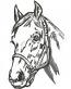 Horse Head Machine Embroidery Design06122025