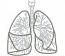 Realistic Lungs Respiratory System Machine Embroidery Design for Medical Projects and Anatomy 