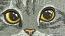 Big Gray Cat in Pocket Machine Embroidery Design 