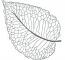 Leaf Machine Embroidery Design 