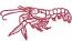 Shrimp and Lobster Machine Embroidery Design, Seafood Embroidery Pattern for Clothing Accessories and Home Textiles 