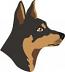 Australian working kelpie  SVG. dxf, PNG. EPS. jpg big size 300 dpi 