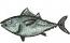 Tuna Fish Machine Embroidery Design, Realistic Fish Embroidery Pattern, Ocean Sea Life Embroidery Stabilization is required. 