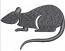 Rat Chinese Zodiac Sign Machine Embroidery Design 