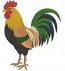 Colorful Rooster Machine Embroidery Design, Farm Animal, Detailed Feathers, 5 Sizes