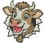 Cute cow face machine embroidery design  