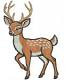 Deer Machine Embroidery Design Buck Embroidery Design Whitetail Deer Embroidery Forest Animal Embroidery Wildlife Embroidery 24072026