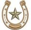 Horseshoe Star Western Machine Embroidery Design