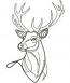 Deer Head Line Art Machine Embroidery Design