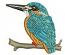 Kingfisher Machine Embroidery Design, Blue Bird on Branch Digital File 