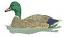 Mallard Duck Machine Embroidery Design, Swimming Waterfowl Digital File 