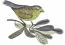 Bird on a Branch Machine Embroidery Design, Little Songbird Digital File 