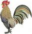 Rooster Machine Embroidery Design, Farmhouse Cockerel Digital File 