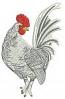 White Rooster Machine Embroidery Design, Country Kitchen Decor Digital File 