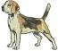 Beagle Dog Machine Embroidery Design, Standing Beagle Hound Digital File  