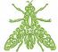 Ornamental Fly Machine Embroidery Design, Abstract Insect Digital File  