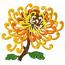 Chinese Chrysanthemum 8 Machine Embroidery Designs Set