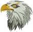 american bald eagle Machine Embroidery Design 14052025