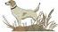 Beagle dog embroidery design /  INSTANT DOWNLOAD / Three sizes 