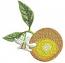 orange embroidery - Machine Embroidery Design1505205