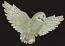 Owl  Machine Embroidery Design 