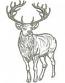 Deer Machine Embroidery Design26052025