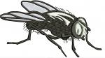 Realistic Black Fly Machine Embroidery Design 