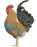 Detailed Rooster Machine Embroidery Design, High-Density Cockerel File 