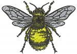 Bumblebee. Machine Embroidery Design, Instant Download  