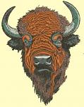 Majestic Buffalo Bison Machine Embroidery Design 