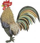 Rooster Machine Embroidery Design, Farmhouse Cockerel Digital File 