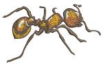 Realistic Ant Machine Embroidery Design - Highly Detailed & Tested - Three Sizes Included 