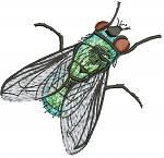 Realistic Green Fly Machine Embroidery Design 