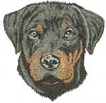 Rottweiler Puppy Dog Portrait Machine Embroidery Design, Black Dog Head Digital File  