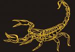 Scorpion Machine Embroidery Design 