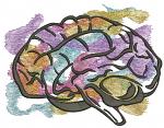 Realistic Human Brain Machine Embroidery Design 