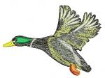Flying drake Machine Embroidery Design 